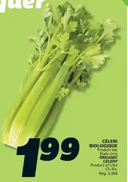 IGA ORGANIC CELERY offer
