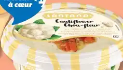 IGA LANTANA HUMMUS OR BABA GANNOUJ offer