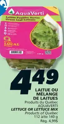 IGA AQUAVERTI LETTUCE OR LETTUCE MIX offer