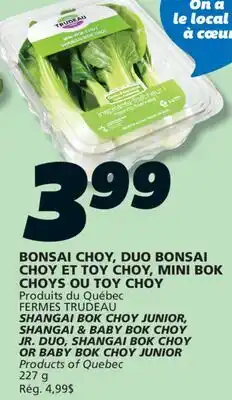 IGA SHANGAI BOK CHOY JUNIOR, SHANGAI & BABY BOK CHOY JR. DUO, SHANGAI BOK CHOY OR BABY BOK CHOY JUNIOR offer