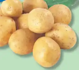 IGA SMALL YELLOW, RED OR WHITE POTATOES offer