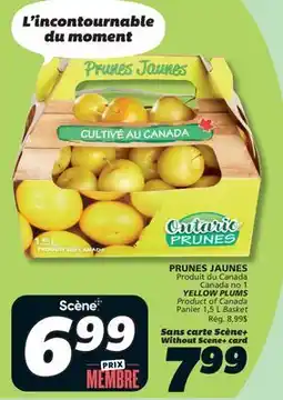 IGA YELLOW PLUMS offer