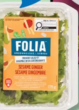 IGA FOLIA CRUNCHY SALAD KIT offer