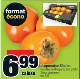 Super C plaquemine Sharon | Sharon persimmon offer