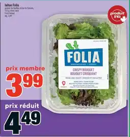 Super C laitue Folia | Folia lettuce offer