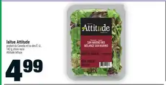 Super C laitue Attitude | Attitude lettuce offer
