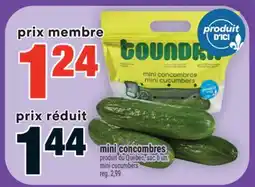 Super C mini concombres | mini cucumbers offer