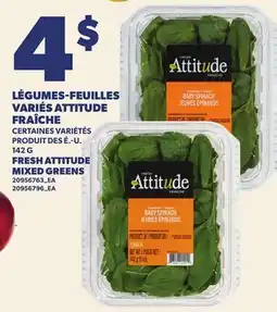 Provigo LÉGUMES-FEUILLES VARIÉS ATTITUDE FRAÎCHE, 142 G | FRESH ATTITUDE MIXED GREENS offer