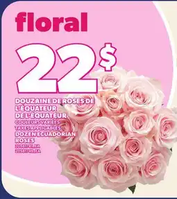 Provigo DOUZAINE DE ROSES DE L'ÉQUATEUR DE L'ÉQUATEUR | DOZEN ECUADORIAN ROSES offer