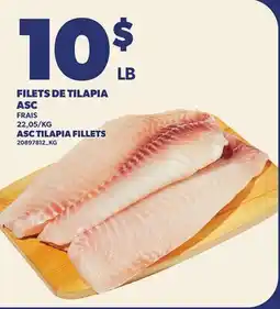 Provigo FILETS DE TILAPIA ASC | ASC TILAPIA FILLETS offer
