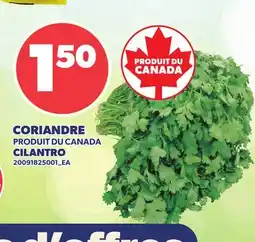 Provigo CORIANDRE | CILANTRO offer