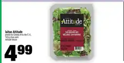 Super C laitue Attitude offer