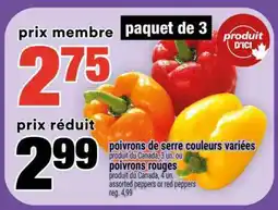 Super C poivrons de serre couleurs variées offer