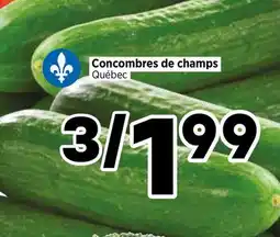 Val-Mont Concombres de champs offer