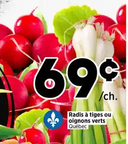 Val-Mont Radis à tiges ou oignons verts offer