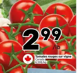 Val-Mont Tomates rouges sur vigne offer