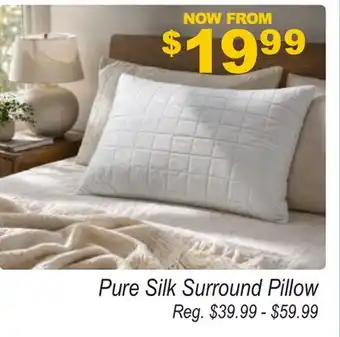 Oxford Mills Pure Silk Surround Pillow offer