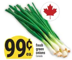 Marché Adonis fresh green onions offer