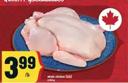 Marché Adonis whole chicken Halal offer