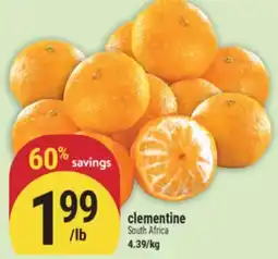 Marché Adonis clementine offer