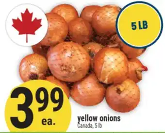 Marché Adonis yellow onions offer