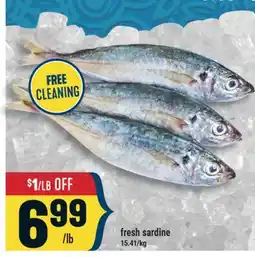Marché Adonis FRESH SARDINE offer