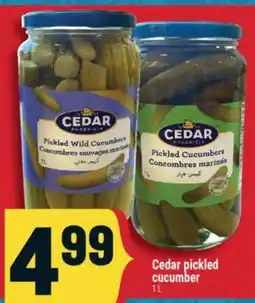 Marché Adonis CEDAR PICKLED CUCUMBER offer