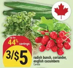 Marché Adonis RADISH BUNCH, CORIANDER, ENGLISH CUCUMBERS offer