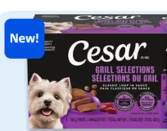 Walmart Cesar wet dog food offer