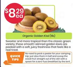 Healthy Planet Organic Golden Kiwi (1lb) offer