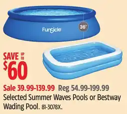 Canadian Tire Selected Summer Waves Pools or Bestway Wading Pool offer