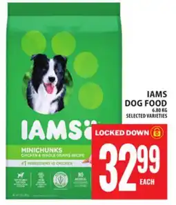 Food Basics IAMS DOG FOOD offer