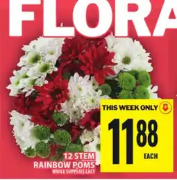 Food Basics 12 STEM RAINBOW POMS offer
