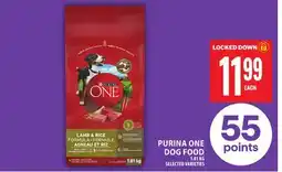 Food Basics PURINA ONE DOG FOOD offer