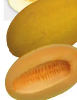 Food Basics HAMI MELON OR CANARY MELON offer