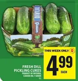 Food Basics FRESH DILL PICKLING CUKES offer