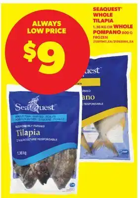Real Canadian Superstore SEAQUEST WHOLE TILAPIA, 1.36 KG OR WHOLE POMPANO, 800 G offer