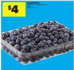 Real Canadian Superstore BLUEBERRIES offer