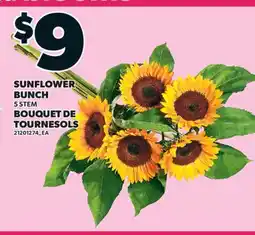 Valu-mart BOUQUET DE TOURNESOLS, 5 STEM offer