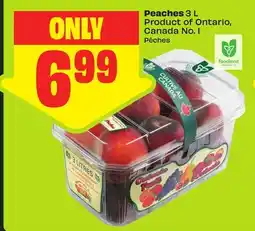 FreshCo Peaches 3 L Product of Ontario, Canada No. 1 offer