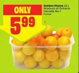 FreshCo Golden Plums 1.5 L Product of Ontario Canada No. 1 offer