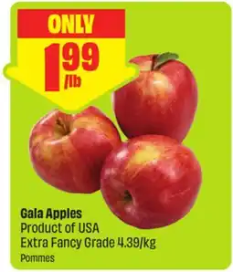 FreshCo Gala Apples Product of USA Extra Fancy Grade 4.39/kg offer