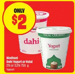 FreshCo Modhani Dahi Yogurt or Halal Yogurt 2% or 3.2% offer