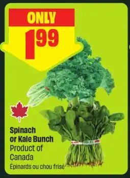 FreshCo Spinach or Kale Bunch Product of Canada offer