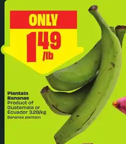 FreshCo Plantain Bananas Product of Guatemala or Ecuador 3.28/kg offer