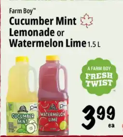 Farm Boy Farm Boy Cucumber Mint Lemonade or Watermelon Lime1 offer
