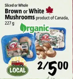 Farm Boy Sliced or Whole Brown or White Mushrooms offer
