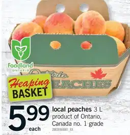Fortinos LOCAL PEACHES offer