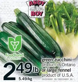 Fortinos GREEN ZUCCHINI OR LARGE FENNEL offer