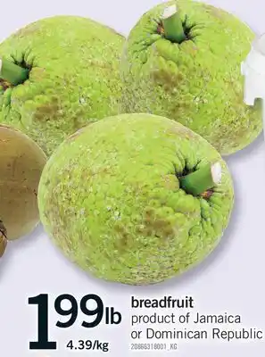 Fortinos BREADFRUIT offer